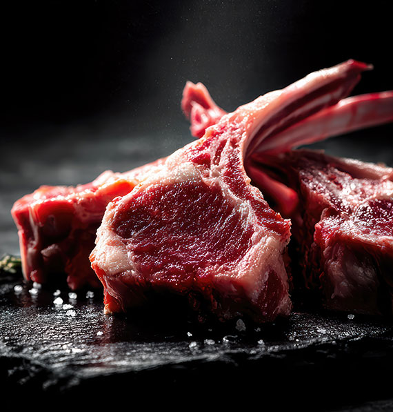 Protein-Heaven-About-Us2